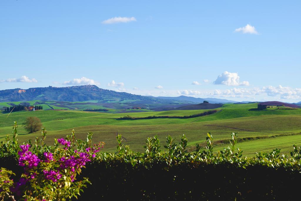 Agriturismo San Francesco Amalia And Anna Orciatico Экстерьер фото