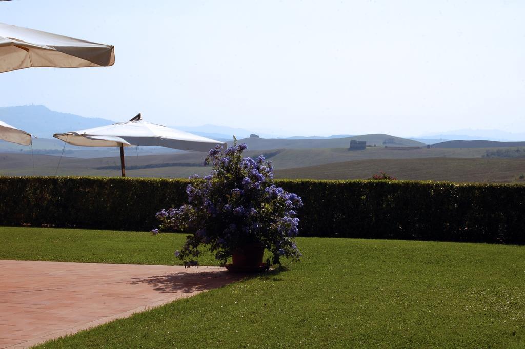 Agriturismo San Francesco Amalia And Anna Orciatico Экстерьер фото