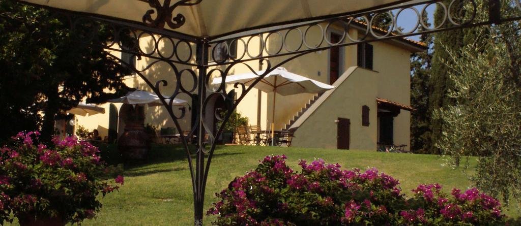 Agriturismo San Francesco Amalia And Anna Orciatico Экстерьер фото